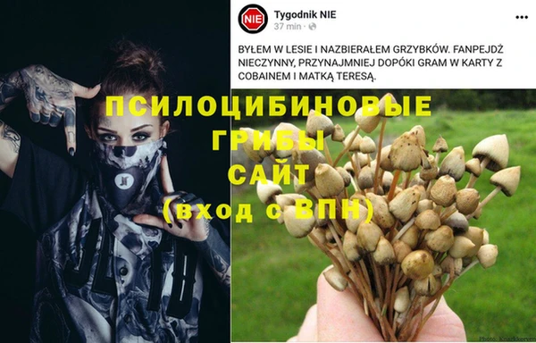 прущие крисы Белоозёрский