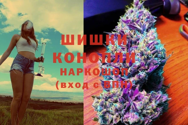 a pvp Белокуриха