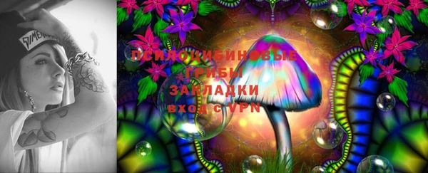дживик Бугульма