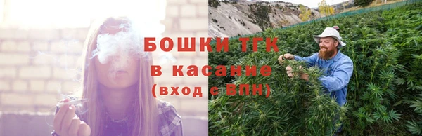 ПСИЛОЦИБИНОВЫЕ ГРИБЫ Переславль-Залесский