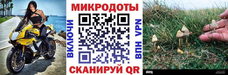 Псилоцибиновые грибы мицелий  даркнет сайт  ОМГ ОМГ tor  Белогорск 
